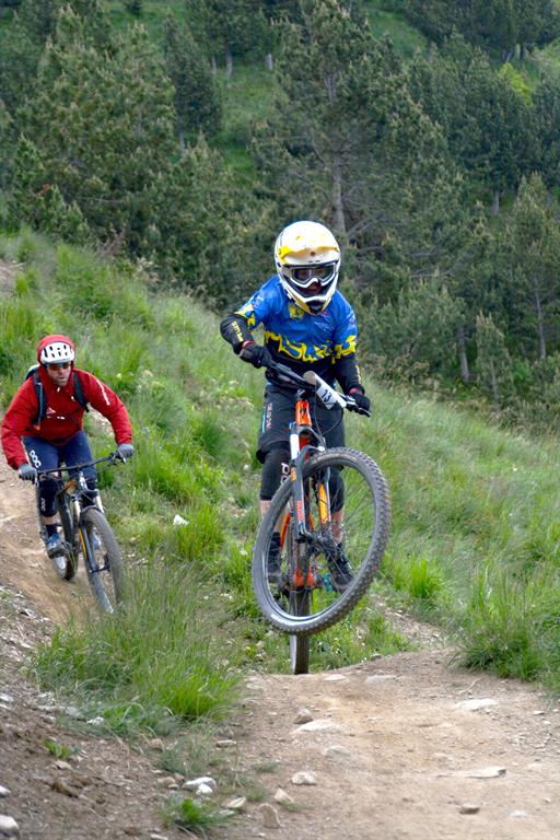 moh_vtt