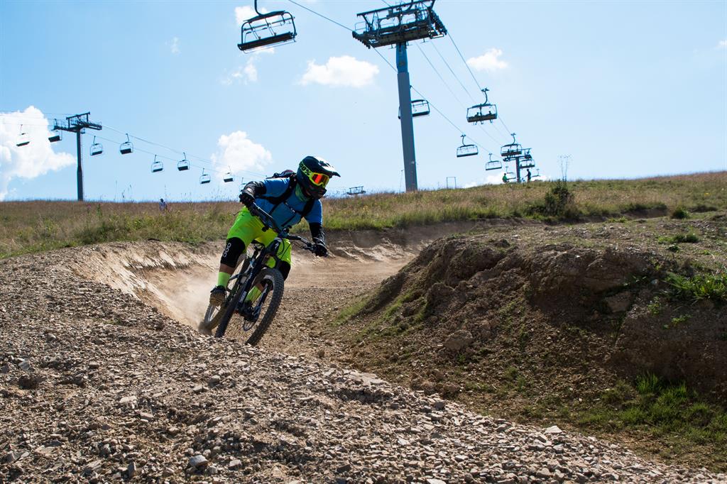 vtt_friedman